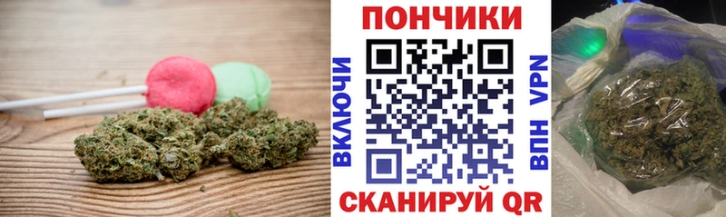 Cannafood конопля  Купить  Аркадак 