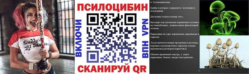 Псилоцибиновые грибы Cubensis Аркадак