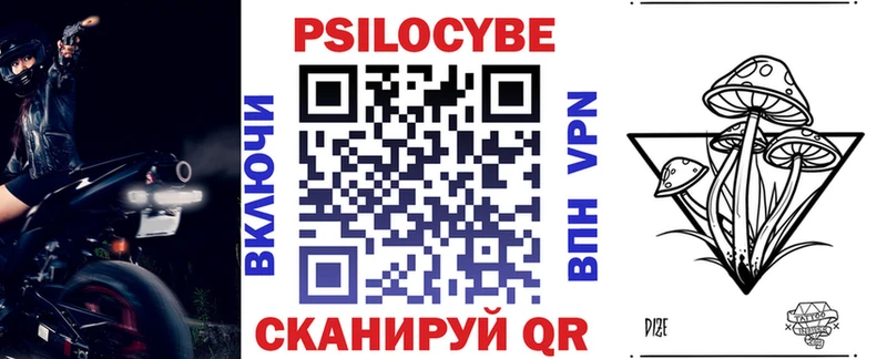 Купить где Аркадак Псилоцибиновые грибы Cubensis