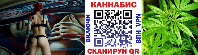 Купить где  Аркадак  Канабис сатива 